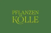Pflanzen Kölle DE DE