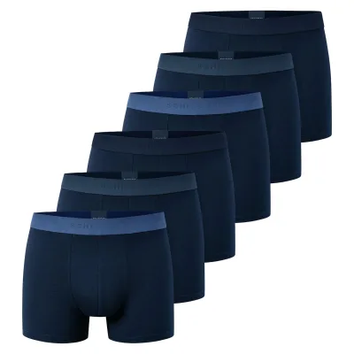 6PACK Shorts "95/5" Herren Boxershort