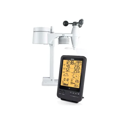 Alecto Professionelle Wetterstation mit Funksensor schwarz