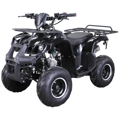 Benzin-Jugend-Quad S-8 Farmer, 125 ccm, ATV, Not-Aus-Leine, Automatik, Alarmanlage, Scheibenbremse (Schwarz)