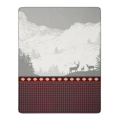 Biederlack Wohndecke Winterzauber