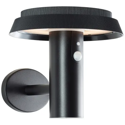 Brilliant LED Außen-Wandleuchte Alvero Außenlampe mit Solar, 21 cm, 500 lm, 3000 K, Metall, schwarz