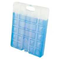 CAMPINGAZ Kühlakku Freez'Pack M30