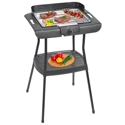 BQS 3842 Standgrill