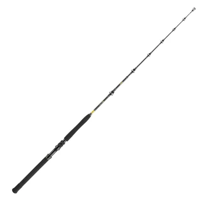 Daiwa BG Big Game 1.68m 30-50lbs Bootsrute