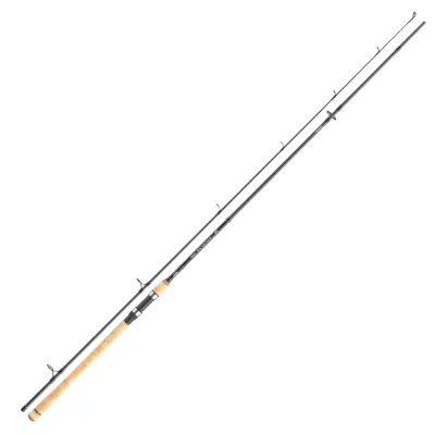 Daiwa Exceler Trad. 2.70m 20-60g Spinnrute