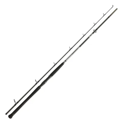Daiwa Powermesh CF Boje 2,70m 150-400g Welsrute