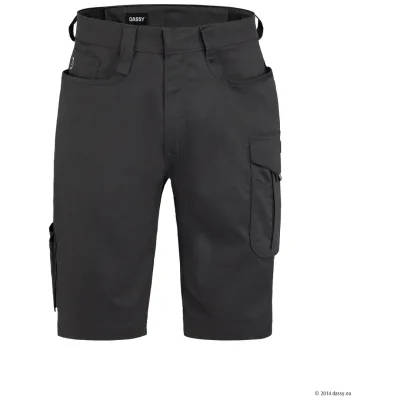 Dassy Arbeitsshorts Botta Flex 250128 PESCORE42 Gr. 44 anthrazitgrau