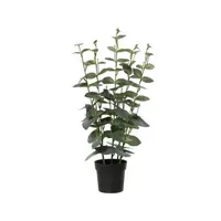 DECORIS Kunstpflanze Eukalyptus