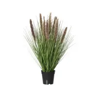 DECORIS Kunstpflanze Lampenputzergras 30 x 68 cm (B x H)