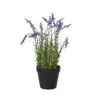 DECORIS Kunstpflanze Lavendel