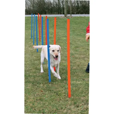 Dog - Agility - Slalom