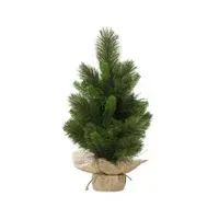EVERLANDS Weihnachtsbaum Edmonton Spruce