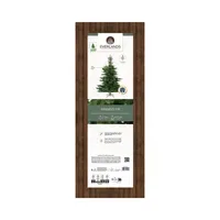 EVERLANDS Weihnachtsbaum Grandis Fir 111 x 150 cm (Ø x H)