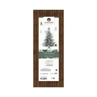 EVERLANDS Weihnachtsbaum Grandis Fir 132 x 180 cm (Ø x H)