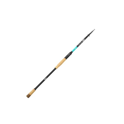 Fishing-King Tackle Tele Ansitz 3,30m 10-60g