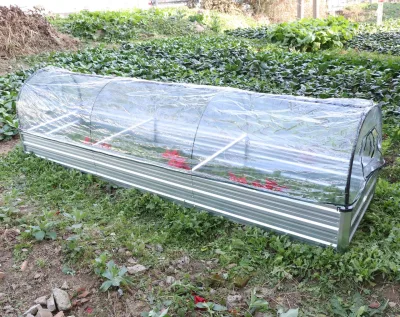 Gartenbeet mit Überdachung, ca. 300 x 80 x 80 cm