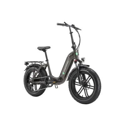 GreenStreet E-Bike Tiefeinsteiger Klapprad GS5 250 W 20 Zoll anthrazit