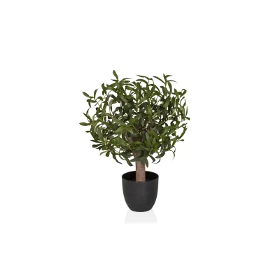 hjh OFFICE Kunstpflanze Olive S Kunststoff