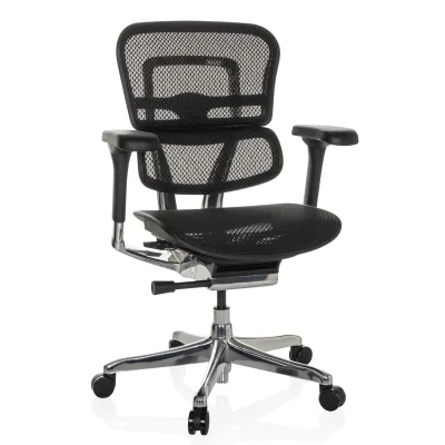 hjh OFFICE Luxus Chefsessel ERGOHUMAN BASE GEN2 Netzstoff mit Armlehnen (höhenverstellbar)