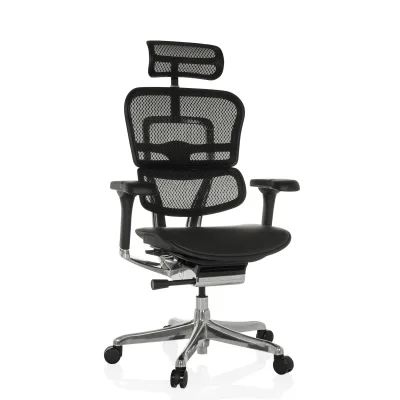 hjh OFFICE Luxus Chefsessel ERGOHUMAN GEN2 Leder/Netzstoff mit Armlehnen (höhenverstellbar)