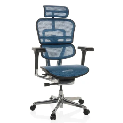 hjh OFFICE Luxus Chefsessel ERGOHUMAN GEN2 Netzstoff mit Armlehnen (höhenverstellbar)