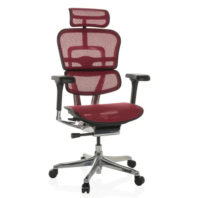 hjh OFFICE Luxus Chefsessel ERGOHUMAN GEN2 Netzstoff mit Armlehnen (höhenverstellbar)