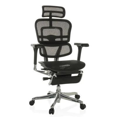 hjh OFFICE Luxus Chefsessel ERGOHUMAN PLUS LEGPRO GEN2 Netzstoff mit Armlehnen (höhenverstellbar)
