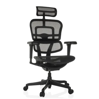 hjh OFFICE Luxus Chefsessel ERGOHUMAN SIGNATURE GEN2 Netzstoff mit Armlehnen (höhenverstellbar)