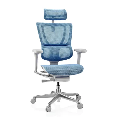 hjh OFFICE Luxus Chefsessel ERGOHUMAN SLIM G GEN2 Netzstoff mit Armlehnen (höhenverstellbar)