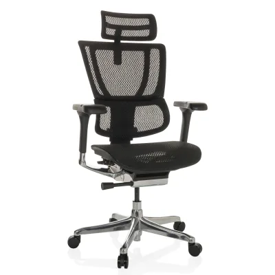 hjh OFFICE Luxus Chefsessel ERGOHUMAN SLIM GEN2 Netzstoff mit Armlehnen (höhenverstellbar)