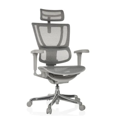 hjh OFFICE Luxus Chefsessel ERGOHUMAN SLIM ULTRA G GEN2 Netzstoff mit Armlehnen (höhenverstellbar)