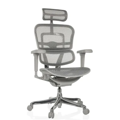hjh OFFICE Luxus Chefsessel ERGOHUMAN ULTRA G GEN2 Netzstoff mit Armlehnen (höhenverstellbar)