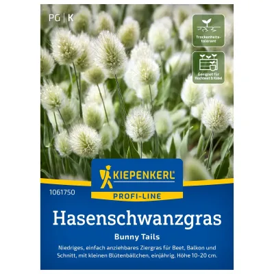Kiepenkerl Saatgut Hasenschwanzgras 'Bunny Tails'