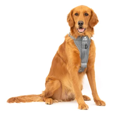 Kurgo Tru-Fit Autosicherheitsgeschirr für Hunde, Größe XL, Grau