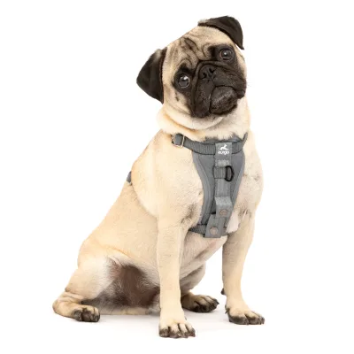 Kurgo Tru-Fit Autosicherheitsgeschirr für Hunde, Größe XS, Grau