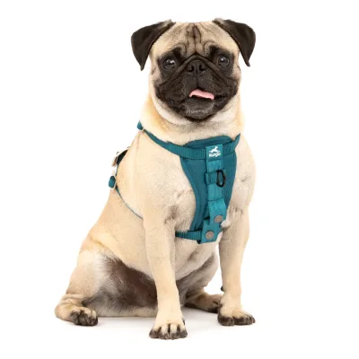 Kurgo Tru-Fit Autosicherheitsgeschirr für Hunde, Größe XS, Tintenblau