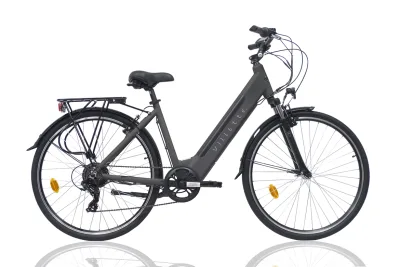 l'Amant Eco, City E-bike, Damen, 10.4 Ah, 7 Gänge, Grau