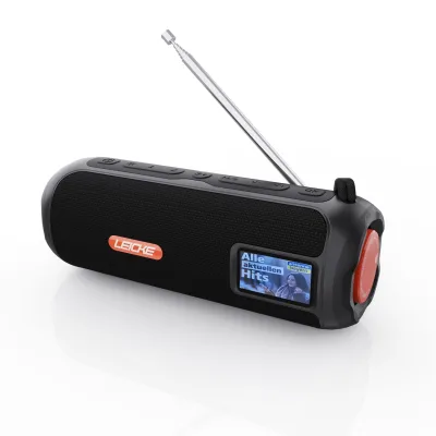 LEICKE DAB+ Radio Tube tragbarer Bluetooth Lautsprecher mit RGB-LED Lichter