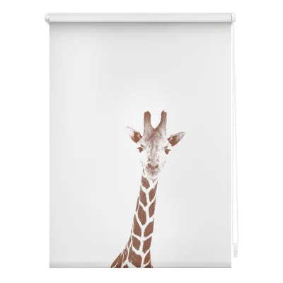 Lichtblick Rollo Klemmfix, ohne Bohren, blickdicht, Giraffe - Braun