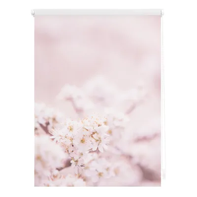 Lichtblick Rollo Klemmfix, ohne Bohren, blickdicht, Kirschblüten - Rosa Weiß