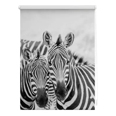Lichtblick Rollo Klemmfix, ohne Bohren, blickdicht, Zebra - Schwarz Weiß