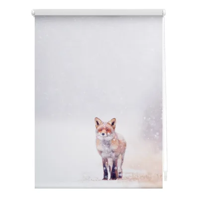 Lichtblick Rollo Klemmfix, ohne Bohren, Verdunkelung, Fuchs im Schnee - Weiß Rot