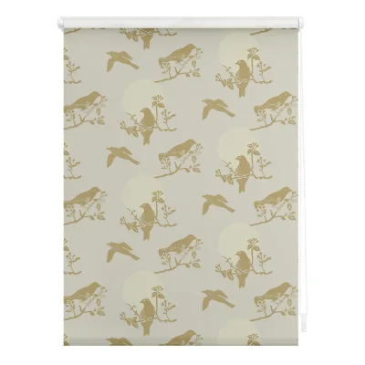 Lichtblick Rollo Klemmfix, ohne Bohren, Verdunkelung, Moon Birds - Beige