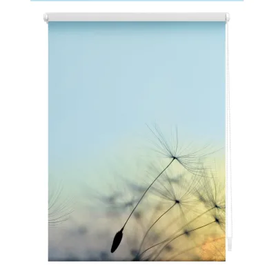 Lichtblick Rollo Klemmfix, ohne Bohren, Verdunkelung, Pusteblume - Blau