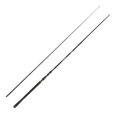 Lieblingsköder ULTRABOOST Bigait 2,70m 40-100g Hechtrute