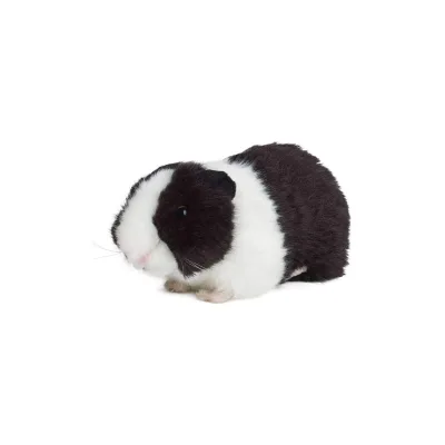 Living Nature Meerschweinchen schwarz 18cm ohne Sound Plüschtier Kuscheltier Meerschwein Kinder