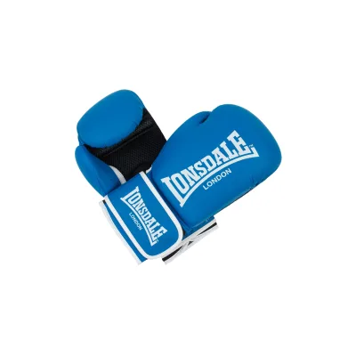 Lonsdale Boxhandschuhe aus Kunstleder ASHDON