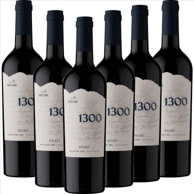 Malbec Andeluna 1300 - 6er Karton