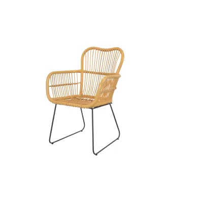 möbel direkt online Rattanstuhl mit Armlehnen Toni beige